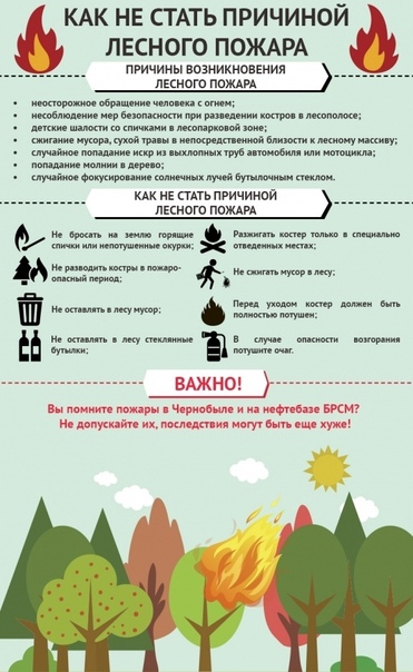 как не стать причиной лесного пожара.jpg как не стать причиной лесного пожара.jpg